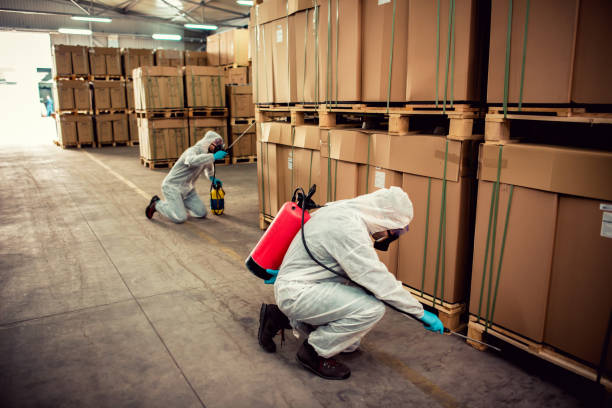 Best Best Pest Control Companies  in Dupont, WA