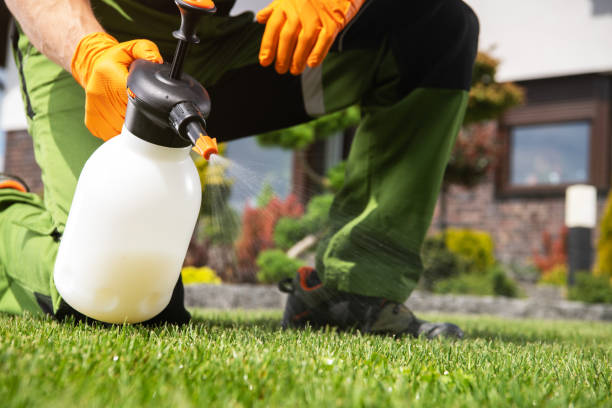 Best Exterminator Services  in Dupont, WA