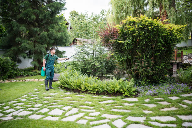 Reliable Dupont, WA Pest Control Solutions