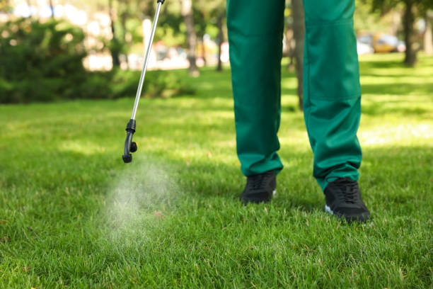 Pest Control for Restaurants in Dupont, WA