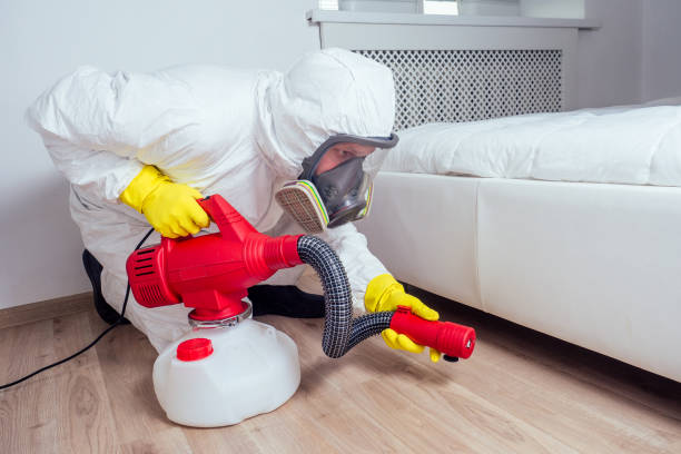 Best Flea Control Services  in Dupont, WA