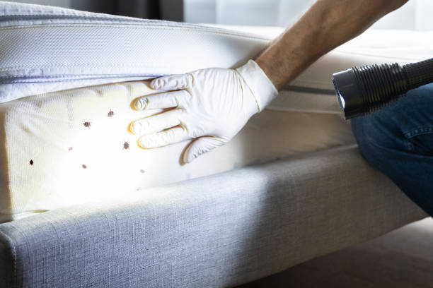 Pest Control for Restaurants in Dupont, WA