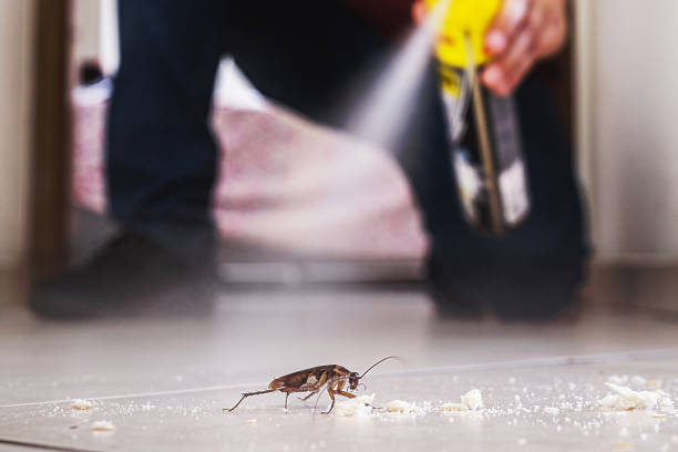 Best Rat Extermination Near Me  in Dupont, WA