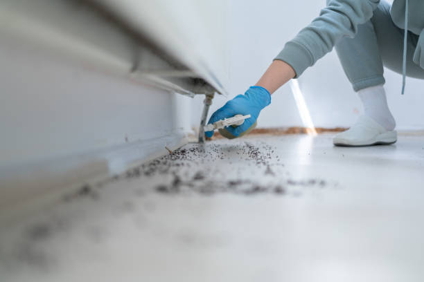 Best Best Pest Control Companies  in Dupont, WA